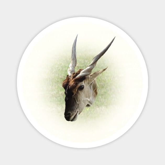 Eland antelope Magnet by Guardi